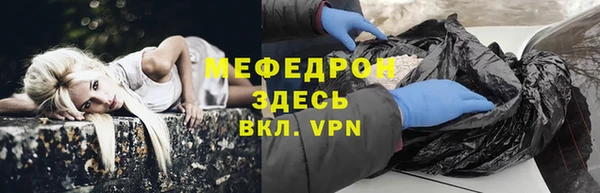 стаф Каменногорск