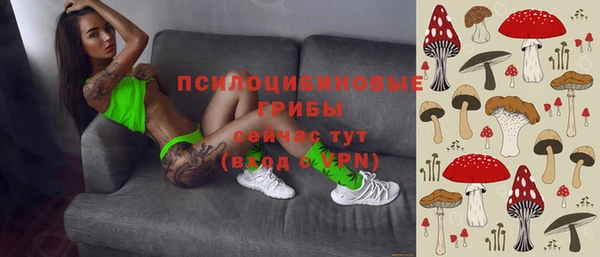 стаф Каменногорск