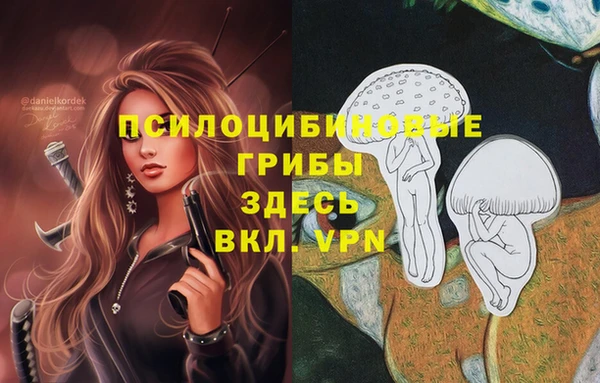 мескалин Каменка