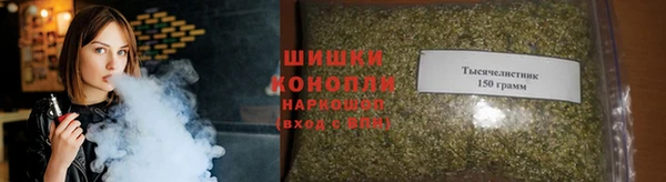 стаф Каменногорск