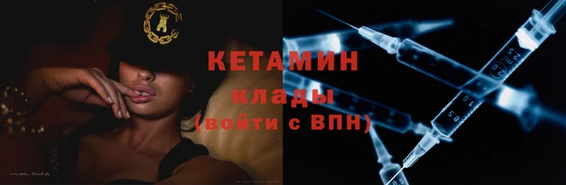 стаф Каменногорск
