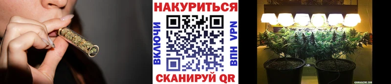 Марихуана семена  Купить закладки  Светогорск 